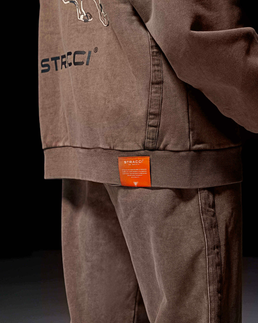 Pegasus Warrior Hoodie