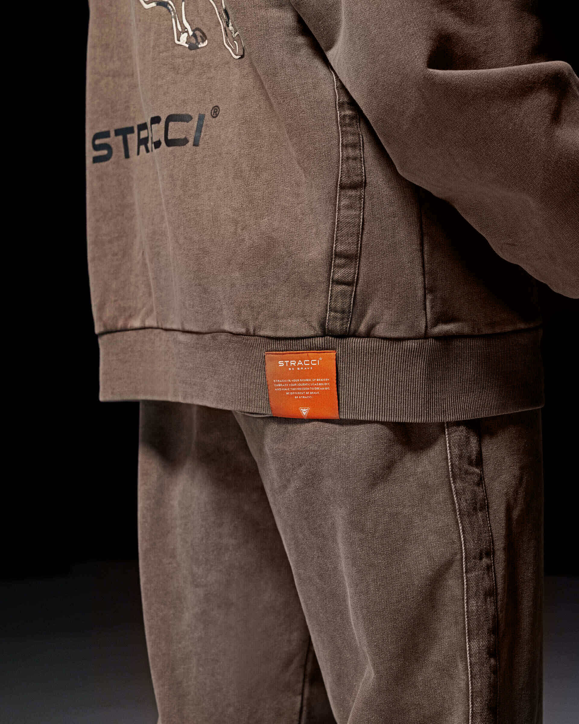 Pegasus Warrior Hoodie