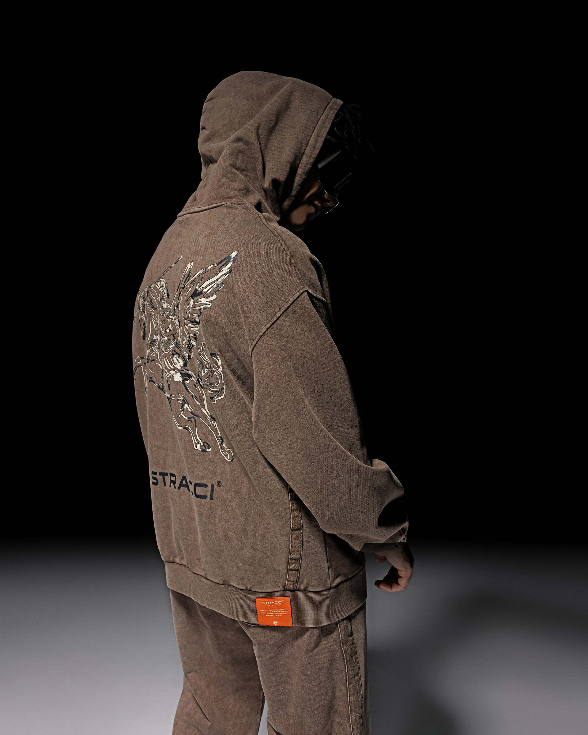 Pegasus Warrior Hoodie