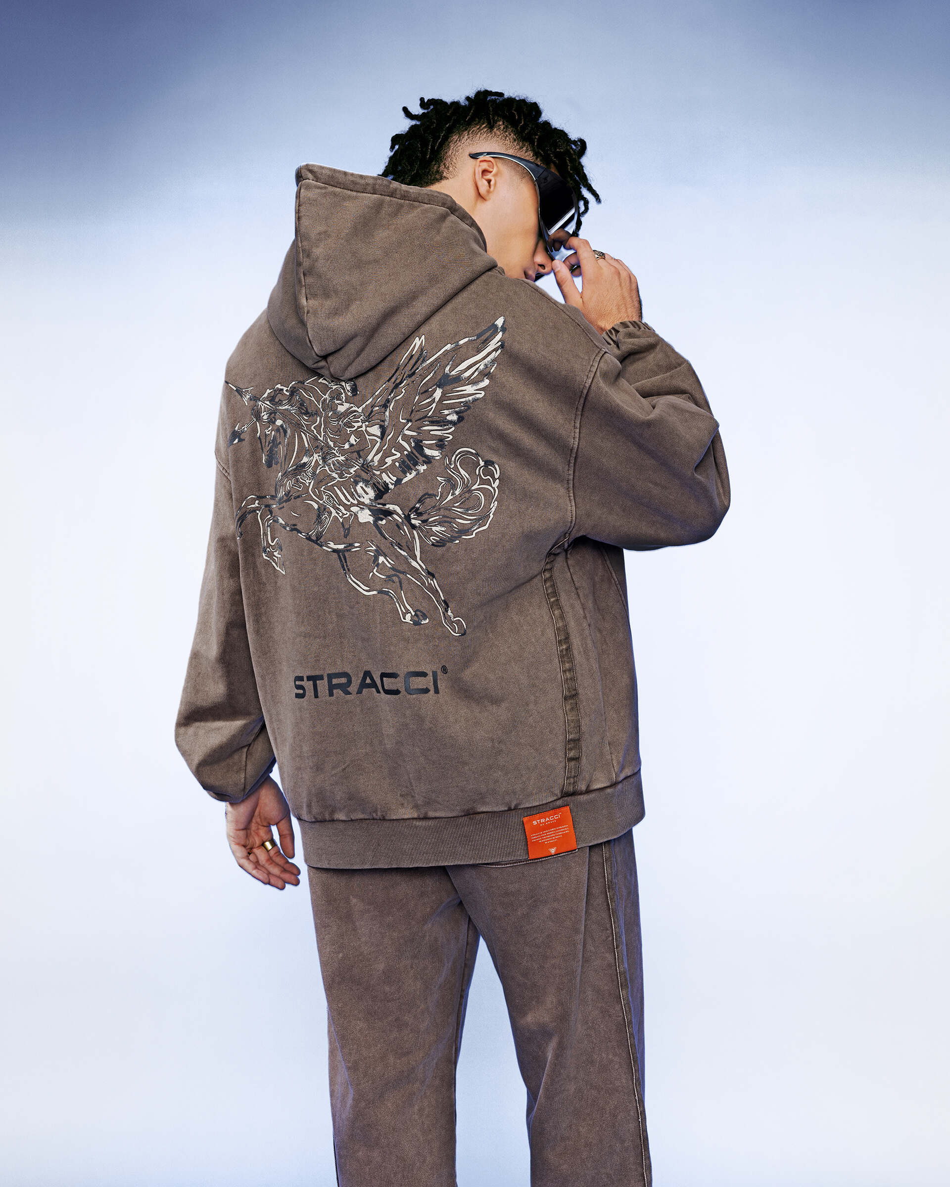 Pegasus Warrior Hoodie