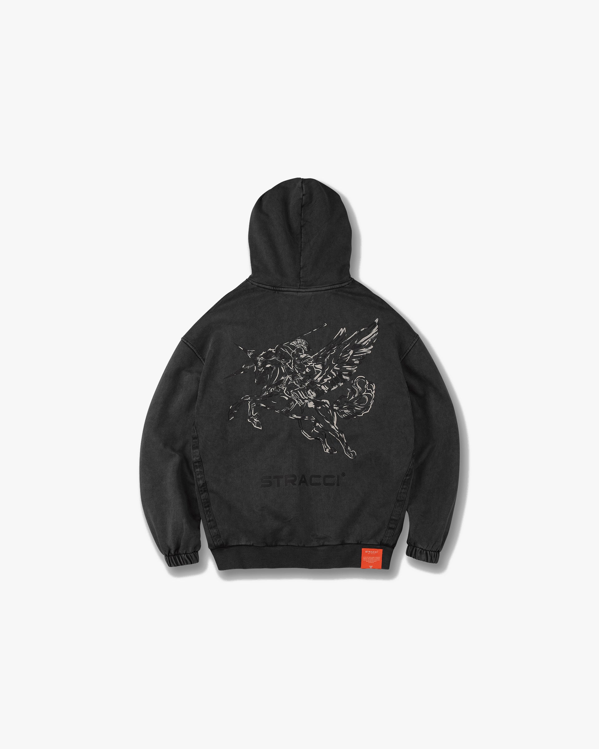 Pegasus Warrior Hoodie